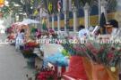 แห่ซื้อกุหลาบวาเลนไทน์ บางรักจดทะเบียน300คู่