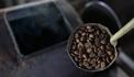 "กาแฟขี้ชะมด" สุดยอดกาแฟแพงที่สุดในโลก