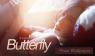 Mali Malinee Wallpaper : Summer Butterfly
