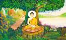 24 พฤษภาคม วันวิสาขบูชา