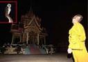 ผวา! อาถรรพณ์นกแสกดับ100ศพ